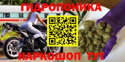 таблы Лесосибирск