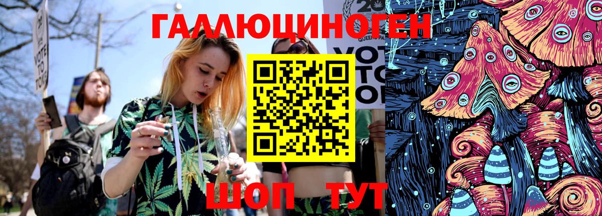 дарнет шоп  Вход с VPN  Вятские Поляны  Псилоцибиновые грибы Cubensis 