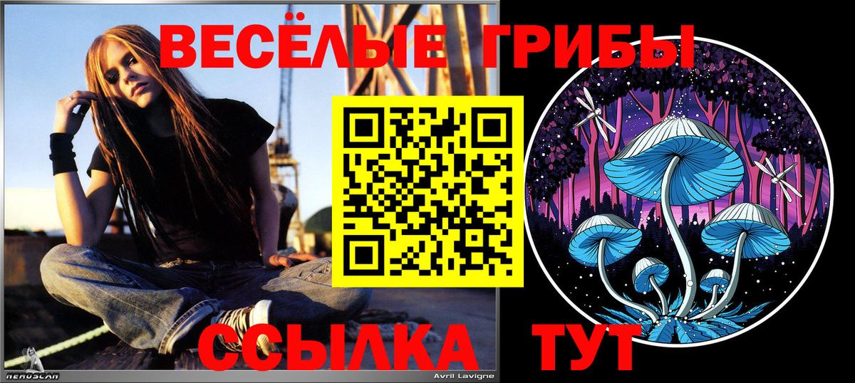 Галлюциногенные грибы Magic Shrooms Вятские Поляны